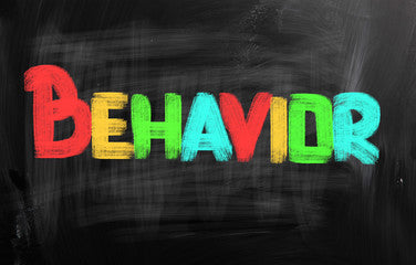 Behavior Redirection Consultation Support